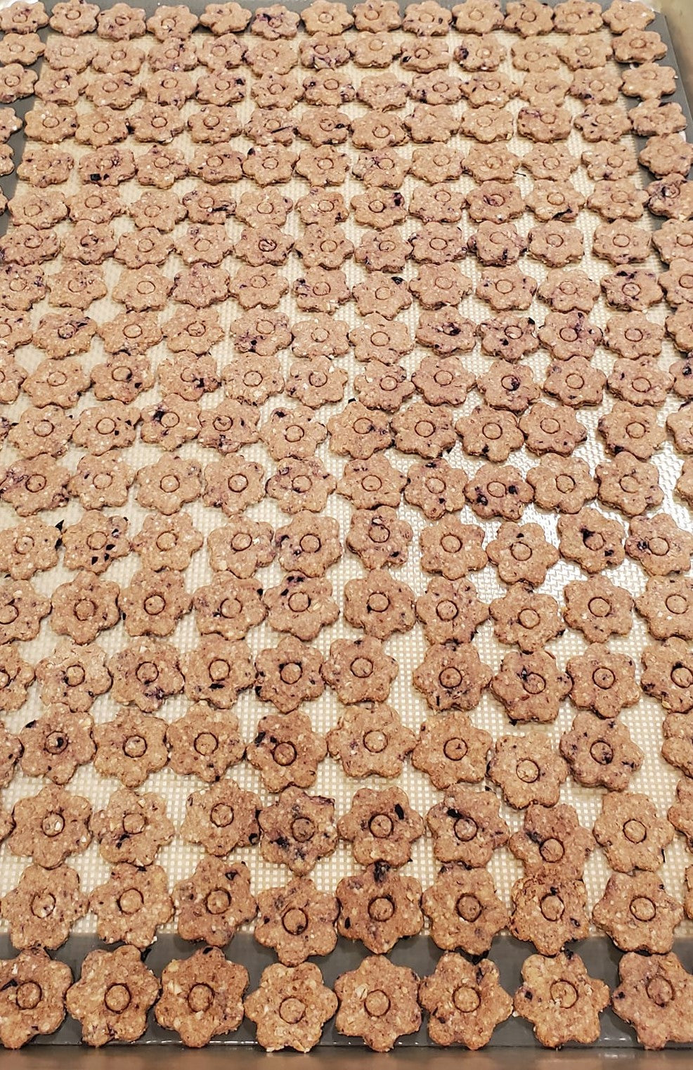 Blueberry oat treats