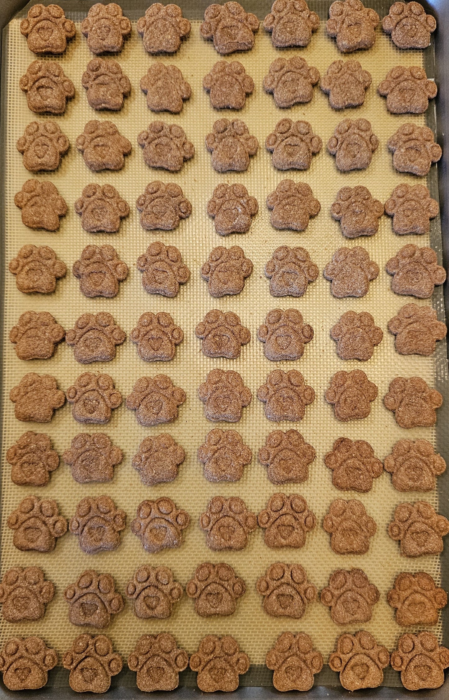 Whole wheat peanut butter treats