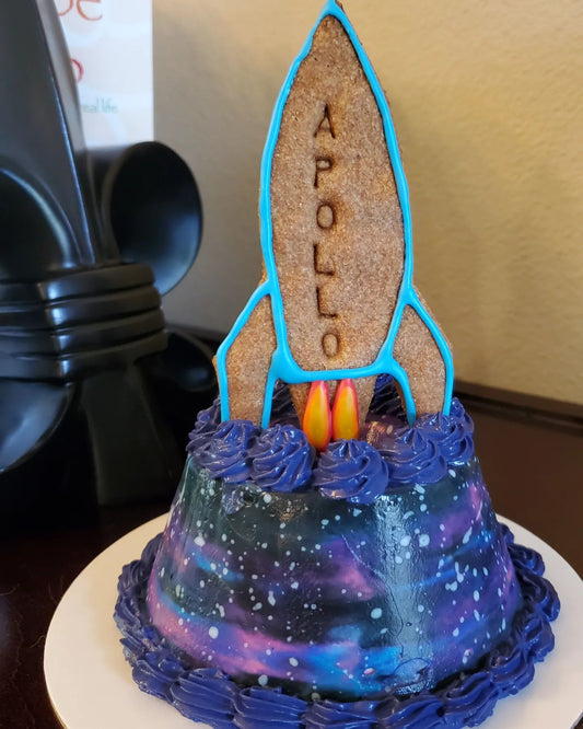 NASA cake